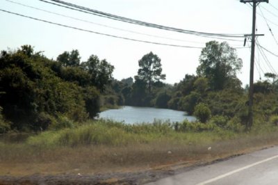 CAMPO (4)  LABRANZA